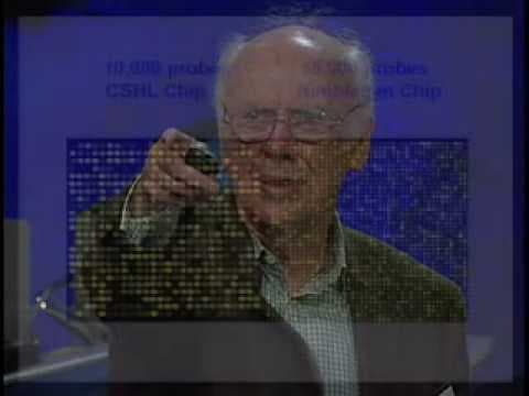 James Watson: How we discovered DNA thumbnail