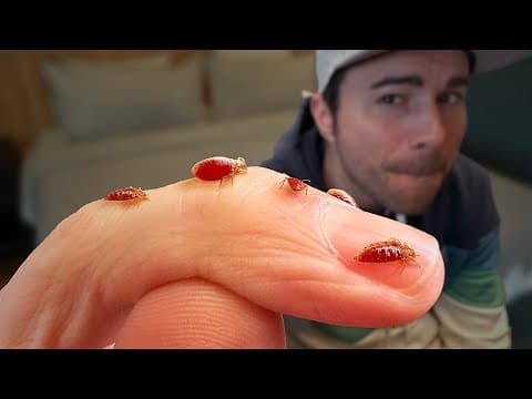 Bed Bugs- What You've Been Told is Totally False thumbnail
