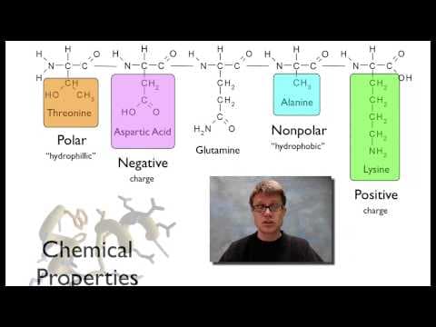 Proteins thumbnail