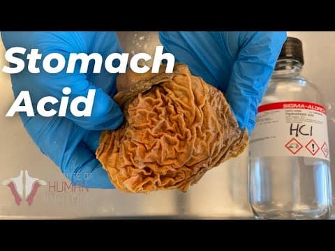 Experimenting With Stomach Acid | How strong Is It? thumbnail