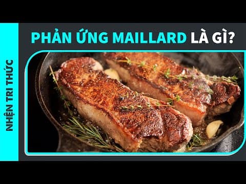 Nhà bếp 404: Tại sao ĂN NÓNG NGON HƠN ĐỂ NGUỘI? | ThanhCj | KHOA HỌC thumbnail