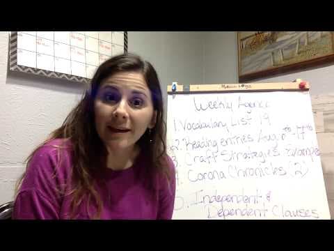 The Night Diary by Veera Hiranandani read aloud August 7th through 17th thumbnail