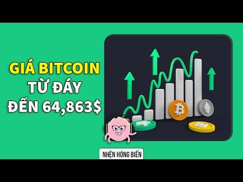 Lịch sử 10 năm biến động giá BITCOIN | Spiderum | TIỀN TÀI thumbnail