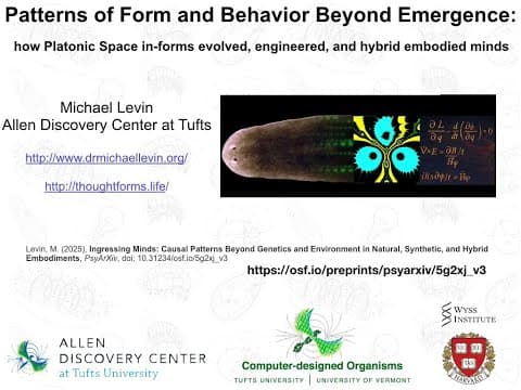 Patterns of Form and Behavior Beyond Emergence by Michael Levin thumbnail
