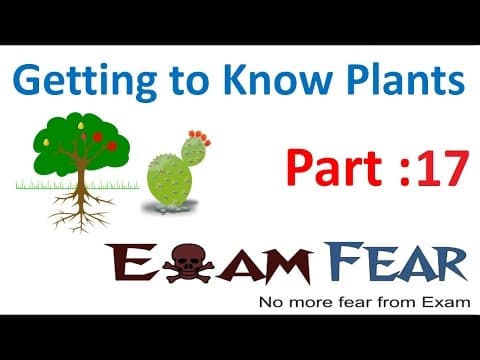 Biology Getting to Know Plants Part 17 (Flower parts) Class 6 VI thumbnail