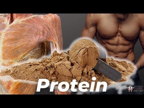 How Much Protein You Really Need (According to Science) thumbnail