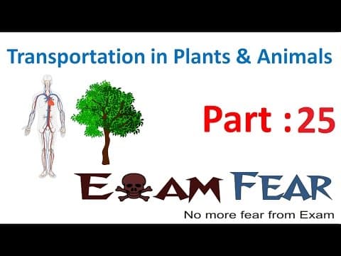 Biology Transport in Plants Animals Part 25 (Questions 1) Class 7 VII thumbnail