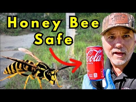 KILL ALL Yellowjackets And Wasps For 1/2 Mile. Safe For Honey Bees! thumbnail
