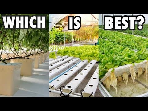 Which Hydroponic System Should You Choose? thumbnail