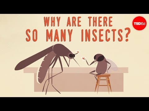 Why are there so many insects? - Murry Gans thumbnail