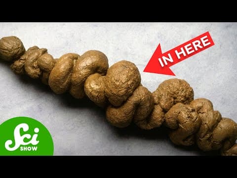 Where Are the Weirdest Places Fossils Have Been Found? thumbnail