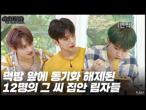 [GOING SEVENTEEN 2020] EP.26 디에잇과 12인의 그림자 #2 (THE 8 and the 12 Shadows #2) thumbnail