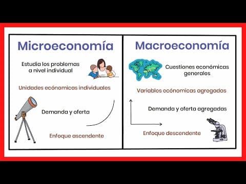 MACROECONOMÍA y MICROECONOMÍA | Diferencias y relación thumbnail