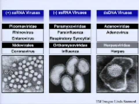 Joe DeRisi: Hunting the next killer virus thumbnail