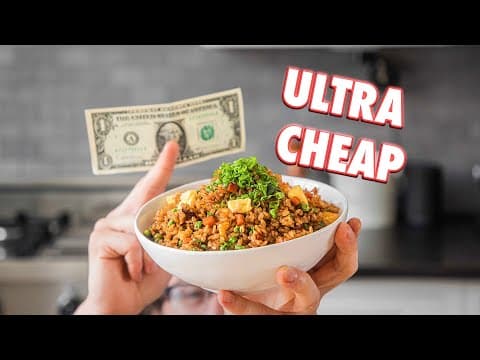 1 Dollar Fried Rice | But Cheaper thumbnail