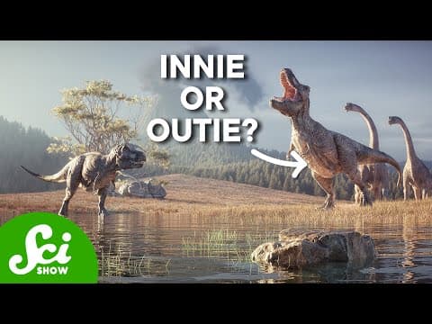 Did Dinosaurs Have Belly Buttons? thumbnail