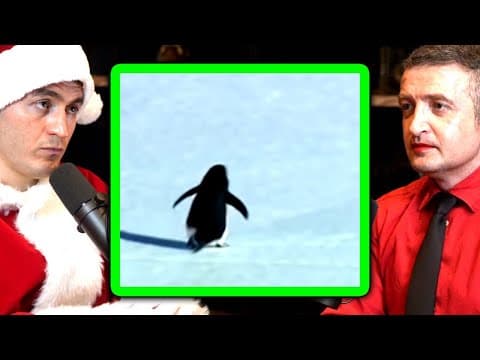 Lex Fridman advice: Find people who believe in you thumbnail