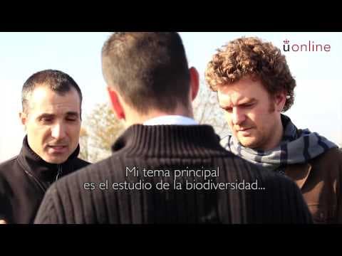 ¿Cómo afectan los ecosistemas áridos al cambio climático? thumbnail