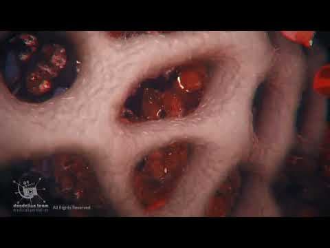 physiology of o.r.g.a.s.m in male-3D male Body and Biology thumbnail