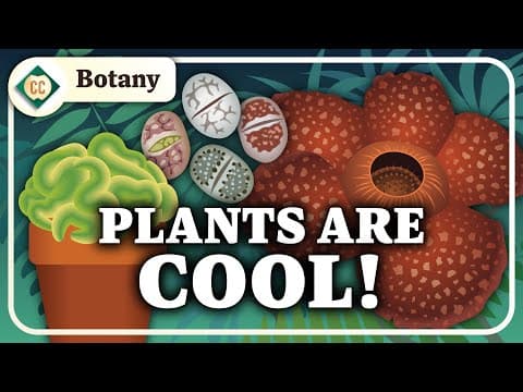 What is Botany? Crash Course Botany #1 thumbnail
