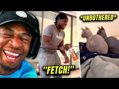 Sidemen Try Not To Laugh: Animal Edition thumbnail
