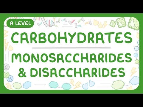 A-Level Biology - Carbohydrates: Monosaccharides & Disaccharides thumbnail