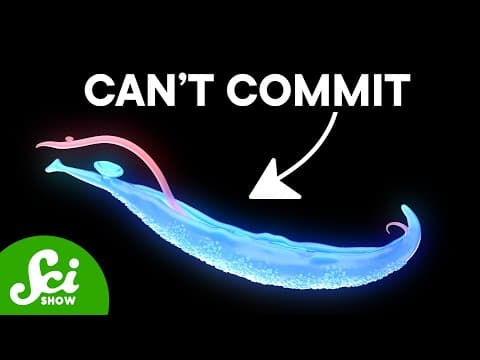This Parasite Needs To Ruin Three Lives thumbnail