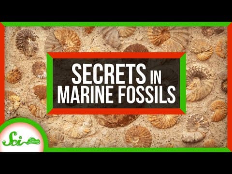3 Secrets About Ancient Earth, Hidden in Marine Fossils thumbnail