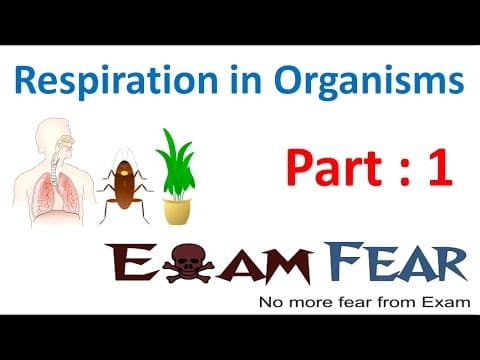 Biology Respiration in Organisms Part 1 (Introduction) Class 7 VII thumbnail
