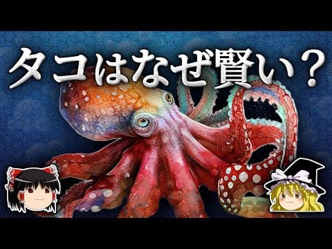 なぜ無脊椎動物の中でタコとイカのみが賢いのか？【ゆっくり解説】 thumbnail
