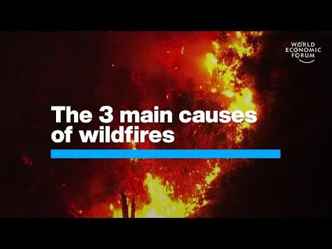 The 3 Main Causes of Wildfires & The 3 Main Solutions | Uplink | World Economic Forum thumbnail