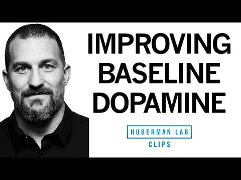 Improve Your Baseline Dopamine for Motivation & Drive | Dr. Andrew Huberman thumbnail