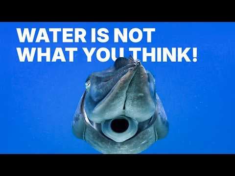 Water: the Strangest Liquid thumbnail