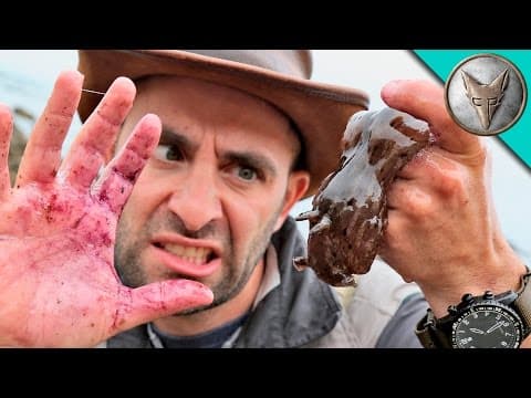 What Makes the Giant Sea Slug and Sea Hare So Unique? thumbnail