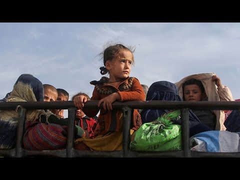 How Does Migration Impact Global Politics? thumbnail