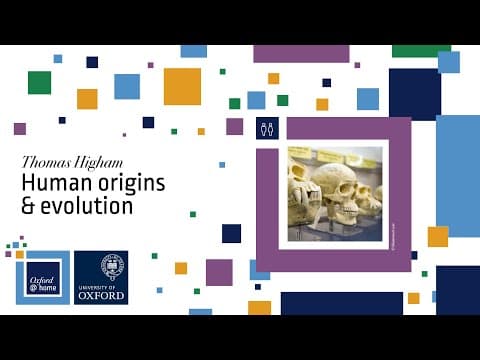 How Did Homo Sapiens Meet Other Human Groups? thumbnail