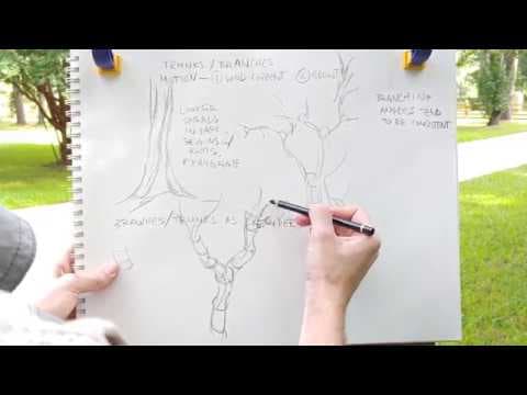How to Draw Better Tree Trunks and Branches thumbnail