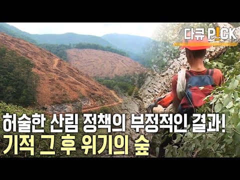 40년 만에 ‘붉은 산’에서 ‘푸른 산’으로 기적! 하지만.. 무분별한 벌채로 산림은 훼손, 야생 동·식물 서식지 파괴, 주민과의 갈등까지 위기다! (KBS 20141219 방송) thumbnail