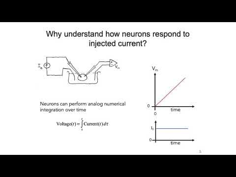2: Resistor Capacitor Circuit and Nernst Potential - Intro to Neural Computation thumbnail