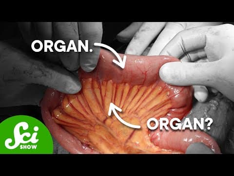 What Is An Organ? thumbnail