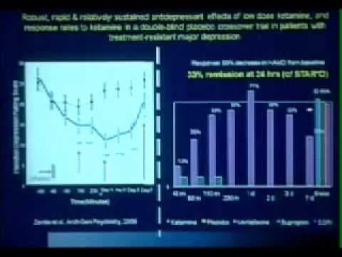 Public Lecture: New Approaches to Treatment of Depression and Bipolar Disorder (Part 3 of 4) thumbnail