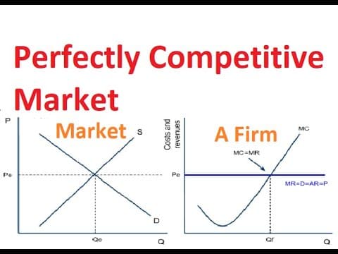 Chapter-4: Perfectly Competitive Market Structure thumbnail