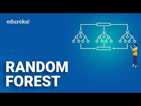 What Is the Random Forest Algorithm and How Does It Work? thumbnail