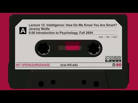 12. Intelligence: How Do We Know You Are Smart? (audio only) thumbnail