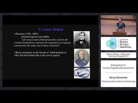 Lecture 1.1: Nancy Kanwisher - Human Cognitive Neuroscience thumbnail
