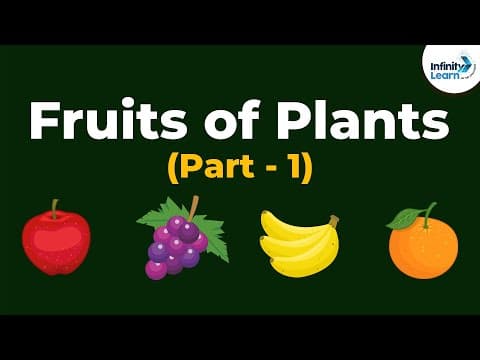Types of Fruits of Plants | Morphology of Flowering Plants | Don't Memorise thumbnail