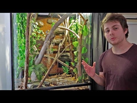 Boyd's Forest Dragon Update! thumbnail