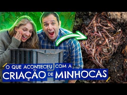 Como criar minhocas para compostagem doméstica? thumbnail