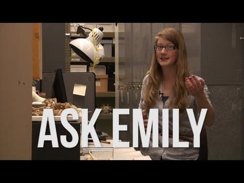 Ask Emily #1 thumbnail