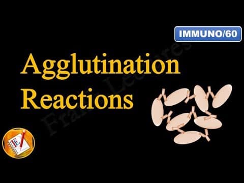Agglutination Reactions (FL-Immuno/60) thumbnail